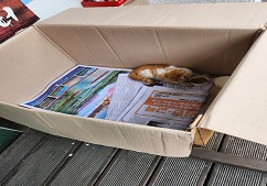 동구종합동물병원_426327202400274